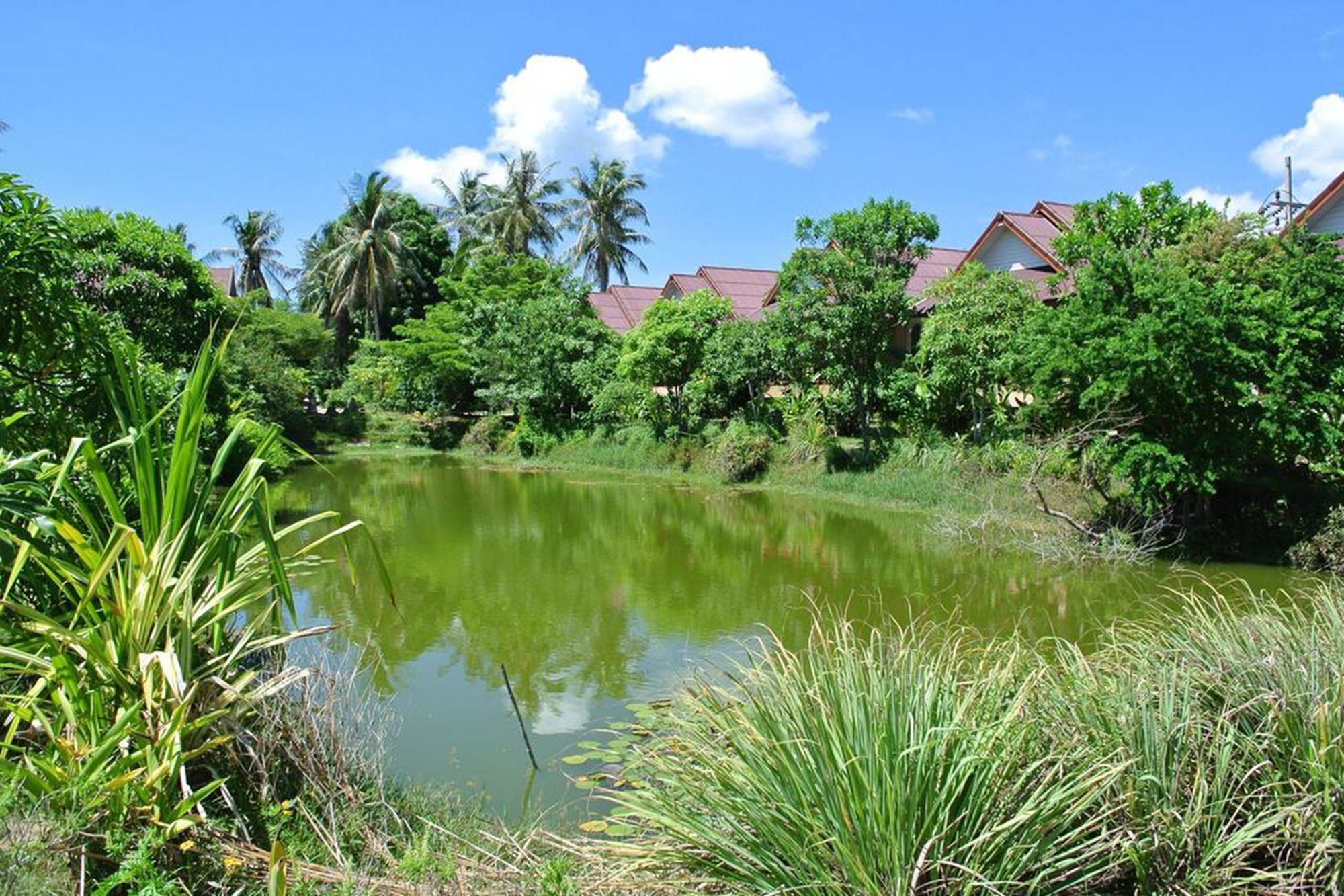 Baan Chay Lay Koh Phangan Dış mekan fotoğraf